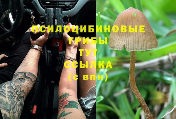 СК Алексин