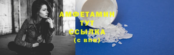 СК Алексин