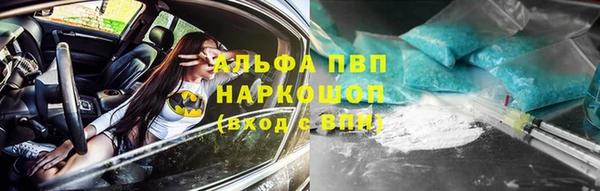 СК Алексин