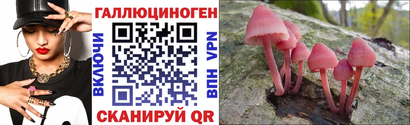 Псилоцибиновые грибы Magic Shrooms  Берёзовский 